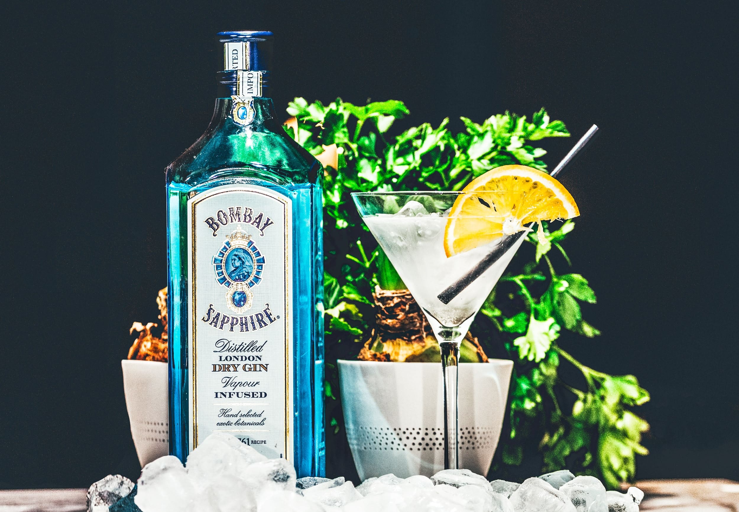 Tipos de Gin